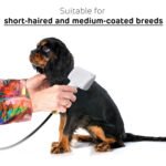 Drying Model Of Pet Hair Dryer - Image 6