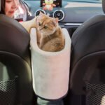 Car Safety Cat Dog Bed Travel Central Control Pet Seat Transport Dog Carrier - Image 2