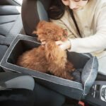 Car Safety Cat Dog Bed Travel Central Control Pet Seat Transport Dog Carrier - Image 6