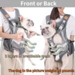 Portable Breathable Cat Pet Carrier Backpack For Outdoor Activities Large Capacity Expandable Cat Cage - Image 4