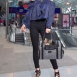 Multi-functional Folding Pet Puppy Dog Cat Car Seat Basket Pet Travel Carrier Bag - Image 2