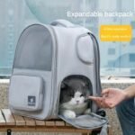 Adventure-Ready, Expandable Pet Carrier Backpack - Large Capacity, Nylon, Zip Closure For Cats & Dogs - Ideal For Outings - Image 6