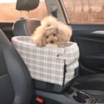 Portable Pet Dog Car Seat Central Control Nonslip Dog Carriers Safe Car Armrest Box Booster Kennel Bed For Small Cat Dog Travel - Image 4