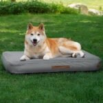 Medium Dog Outdoor Removable And Washable Inflatable Waterproof And Non-slip Dog Bed Summer Pet Travel Mat - Image 6